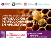 Mañana empieza un curso de apicultura de 8 módulos