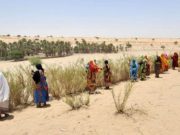 Alerta mundial sobre el mal uso del suelo, cambio climático y alimentación