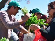 “La transición hacia la agroecología no es un proceso utópico”