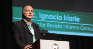 Para un analista es preocupante el aumento de faena de vientres