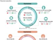 Segundo trimestre: el índice de precios de las exportaciones se redujo 10,4%
