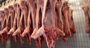 Crecieron 52 por ciento las ventas de carne porcina al exterior