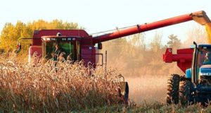 Récord histórico de producción para el campo argentino