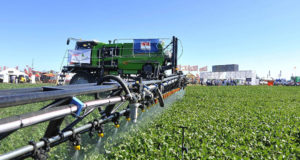 Manejo de malezas y herbicidas en San Luis: los coadyuvantes en las pulverizaciones agrícolas