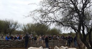 La Rioja: jornada técnica ganadera a campo en El Zampal