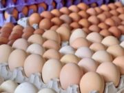 No comprometas tu salud: qué medidas tomar para prevenir la salmonelosis