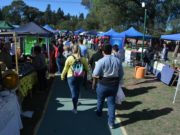 Con más de 400 stands, llega este sábado otra Feria de Pequeños y Medianos Productores a San Luis