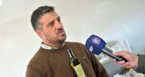 San Luis: “Sol Puntano” alcanzó una producción récord de 2.500 litros de aceite de oliva extra virgen
