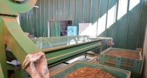 “Sol Puntano”: la peladora de almendras mejora la renta de las producciones locales