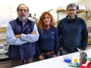 Primer estudio que detecta un patógeno en un tambo en Argentina