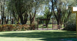 Apoyo oficial provincial a la Expo Rural de Villa Mercedes