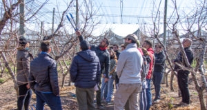 Alumnos de 4° año de la Facultad de Agronomía recorrieron “Sol Puntano”