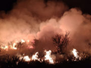 Alertan por altas probabilidades de incendios en San Luis