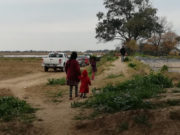 El RENATRE detectó la presencia de menores en un establecimiento rural con indicadores de explotación laboral