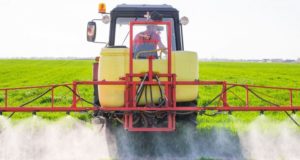 El decreto sobre fitosanitarios en Entre Ríos fue declarado inconstitucional