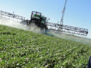 Agroquímicos: buscan frenar los casos de deriva sobre los campos hortícolas