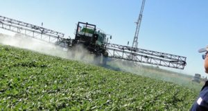 Agroquímicos: buscan frenar los casos de deriva sobre los campos hortícolas