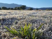 -11.8 ¿Bajó la inflación? No, fue la mínima en San Luis