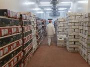 Las exportaciones de alimentos crecieron un 32% interanual durante julio