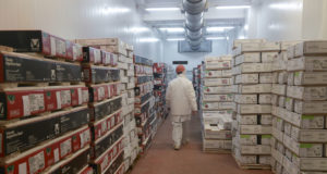 Las exportaciones de alimentos crecieron un 32% interanual durante julio