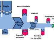 Producir más con menos agua, el desafío que apura a los regantes de San Luis