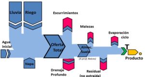 Producir más con menos agua, el desafío que apura a los regantes de San Luis