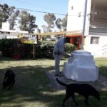 05313eb0-864f-4679-bbd1-46900fe37309