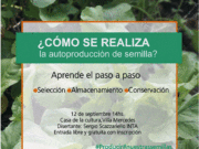 Autoproducción de semillas de huerta en Villa Mercedes