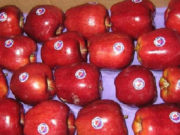 Frutas de Argentina, en busca de la rentabilidad perdida
