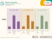 En agosto la inflación mayorista llegó al 11,2%