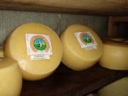 Productores de queso artesanal acceden al sello «Producido por la Agricultura Familiar»
