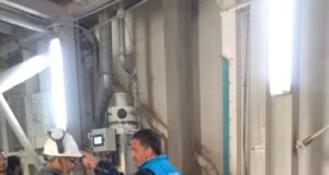 Inhabilitan un molino sin RUCA que comercializa harinas con rótulos falsos