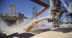 Acuerdo histórico: Argentina ingresará a China con su harina de soja