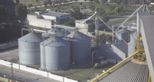 La venta de granos continúa por goteo