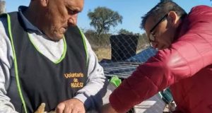 Entregaron 4 mil dosis de vacunas antirrábicas caninas en el norte de la provincia de San Luis