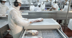 China autorizó ocho frigoríficos de carne bovina para exportar