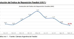 Fuerte salida de hacienda de los feedlot