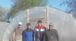 Finalizaron el segundo invernadero en San Martín