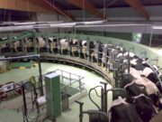El Gobierno necesita contar con un registro actualizado de tambos