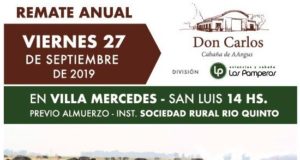Remate anual de reproductores Angus, mañana en Villa Mercedes