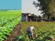 La necesidad de solucionar el conjunto y no las partes