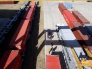 San Luis: preparan el sexto cargamento de alfalfa con Arabia como destino