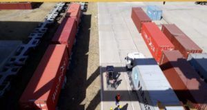 San Luis: preparan el sexto cargamento de alfalfa con Arabia como destino