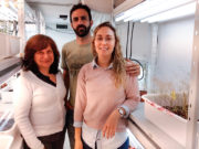 Científicos argentinos descubren un gen que «frena» el desarrollo de las raíces laterales de las plantas