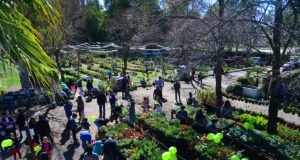San Luis: furor por los plantines florales del Vivero Provincial en su inicio de temporada
