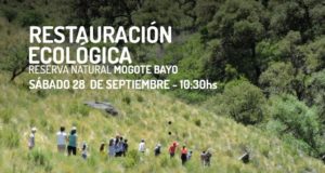 San Luis: la reserva natural “Mogote Bayo” comenzará su restauración ecológica