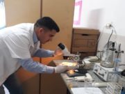 Con el asesoramiento del Ministerio de Producción, Candelaria habilitó un laboratorio para análisis de triquinosis