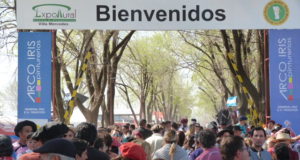 Domingo en la Rural: competencias, espectáculos y miles de personas
