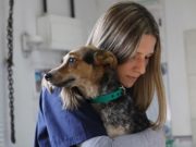 Por qué es necesario el uso responsable de los antibióticos en personas y animales