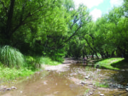 San Luis: por la sequía, la entrega de agua en zona El Suyuque se hará con turnos programados